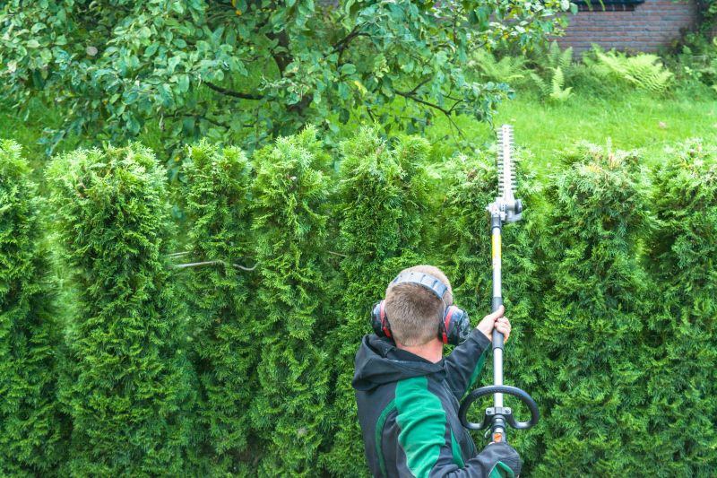 Evergreen Hedge Trimming in Ventura County, CA