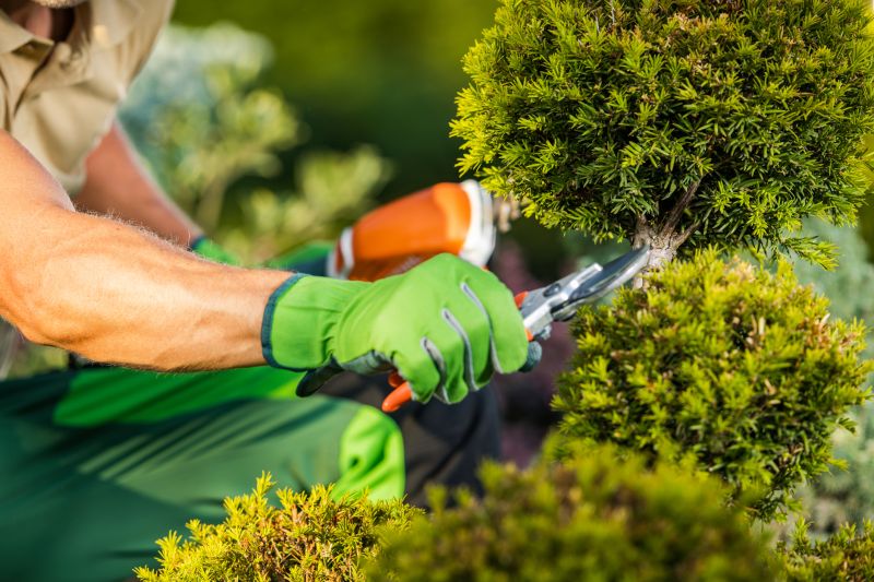 Landscape Pruning Service in Rockwall, TX