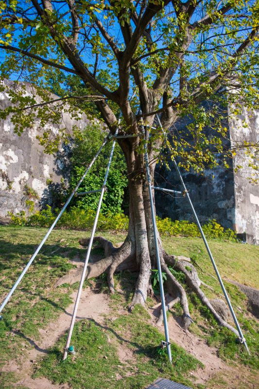 Structural Support Trimming